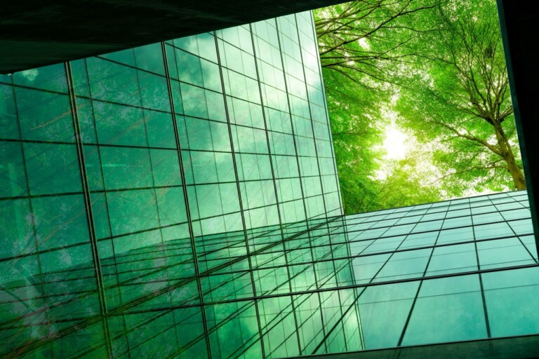 Eco-friendly building in the modern city. Green tree branches with leaves and sustainable glass building for reducing heat and carbon dioxide. Office building with green environment