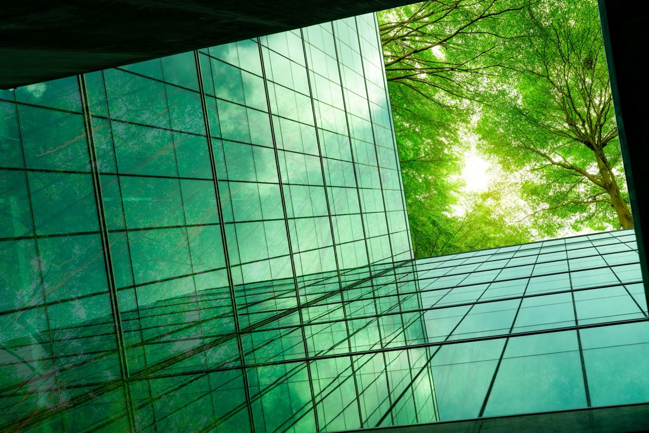 Eco-friendly building in the modern city. Green tree branches with leaves and sustainable glass building for reducing heat and carbon dioxide. Office building with green environment